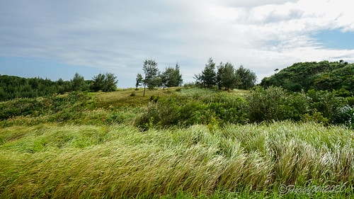 【屏東|社頂】20201018 "東方足跡"-南岬行腳:墾丁 DSC09187
