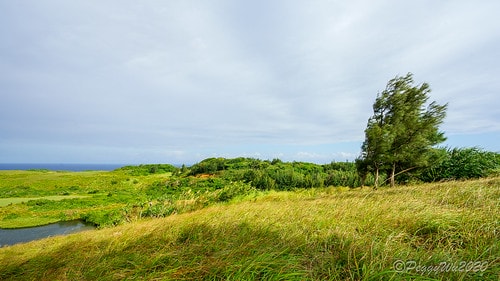 【屏東|社頂】20201018 "東方足跡"-南岬行腳:墾丁 DSC09170