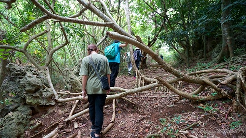 【屏東|社頂】20201018 "東方足跡"-南岬行腳:墾丁 DSC09142