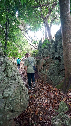 【屏東|社頂】20201018 "東方足跡"-南岬行腳:墾丁 DSC09134