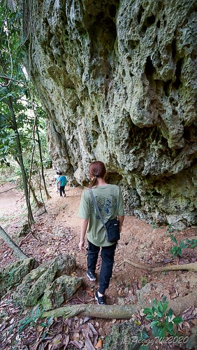 【屏東|社頂】20201018 "東方足跡"-南岬行腳:墾丁 DSC09130