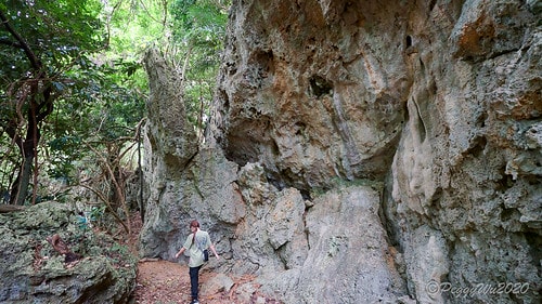 【屏東|社頂】20201018 "東方足跡"-南岬行腳:墾丁 DSC09127