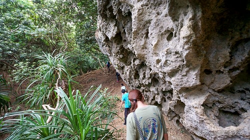 【屏東|社頂】20201018 "東方足跡"-南岬行腳:墾丁 DSC09120