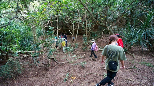 【屏東|社頂】20201018 "東方足跡"-南岬行腳:墾丁 DSC09104