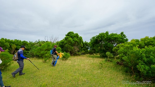 【屏東|社頂】20201018 "東方足跡"-南岬行腳:墾丁 DSC09085