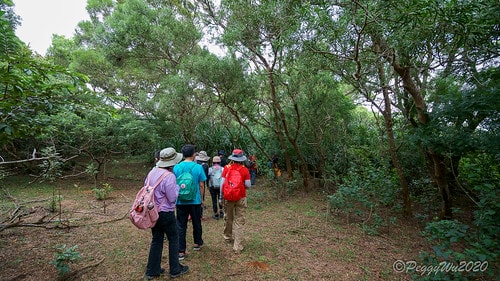 【屏東|社頂】20201018 "東方足跡"-南岬行腳:墾丁 DSC09068