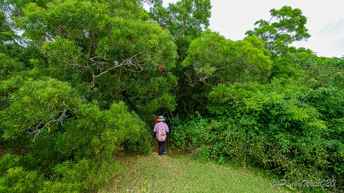【屏東|社頂】20201018 "東方足跡"-南岬行腳:墾丁 DSC09063