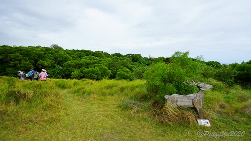【屏東|社頂】20201018 "東方足跡"-南岬行腳:墾丁 DSC09060
