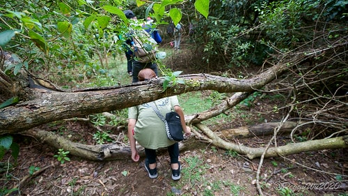 【屏東|社頂】20201018 "東方足跡"-南岬行腳:墾丁 DSC09052