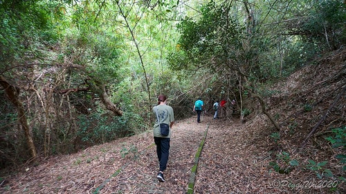 【屏東|社頂】20201018 "東方足跡"-南岬行腳:墾丁 DSC09048