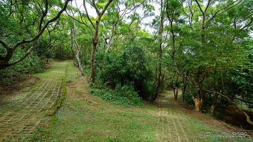 【屏東|社頂】20201018 "東方足跡"-南岬行腳:墾丁 DSC09044