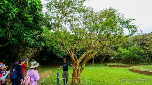 【屏東|社頂】20201018 "東方足跡"-南岬行腳:墾丁 DSC08987