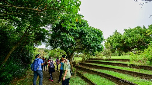 【屏東|社頂】20201018 "東方足跡"-南岬行腳:墾丁 DSC08986