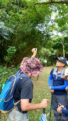 【屏東|社頂】20201018 "東方足跡"-南岬行腳:墾丁 DSC01056