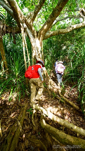 【屏東|社頂】20201018 "東方足跡"-南岬行腳:墾丁 DSC09273