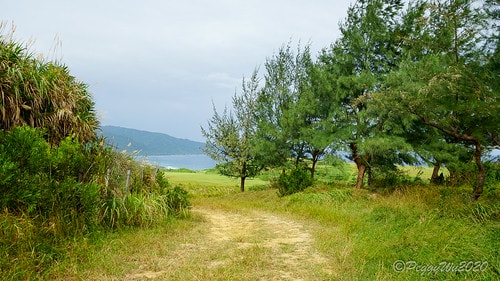 【屏東|社頂】20201018 "東方足跡"-南岬行腳:墾丁 DSC09154