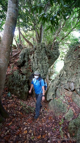【屏東|社頂】20201018 "東方足跡"-南岬行腳:墾丁 DSC09135