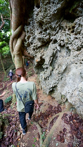 【屏東|社頂】20201018 "東方足跡"-南岬行腳:墾丁 DSC09126