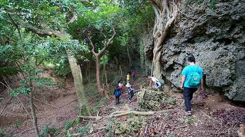 【屏東|社頂】20201018 "東方足跡"-南岬行腳:墾丁 DSC09125