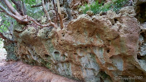 【屏東|社頂】20201018 "東方足跡"-南岬行腳:墾丁 DSC09111