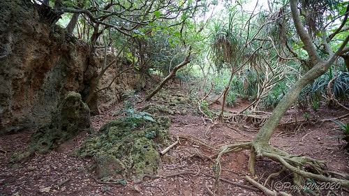 【屏東|社頂】20201018 "東方足跡"-南岬行腳:墾丁 DSC09107