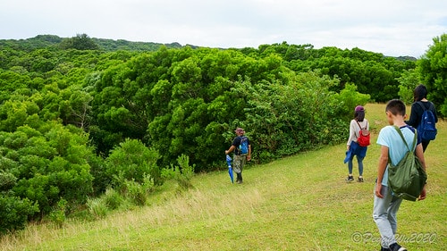 【屏東|社頂】20201018 "東方足跡"-南岬行腳:墾丁 DSC09098