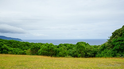 【屏東|社頂】20201018 "東方足跡"-南岬行腳:墾丁 DSC09094