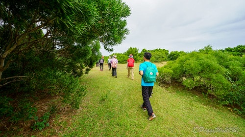 【屏東|社頂】20201018 "東方足跡"-南岬行腳:墾丁 DSC09083