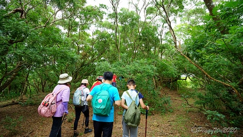 【屏東|社頂】20201018 "東方足跡"-南岬行腳:墾丁 DSC09081
