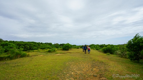 【屏東|社頂】20201018 "東方足跡"-南岬行腳:墾丁 DSC09059