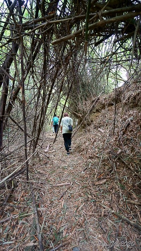 【屏東|社頂】20201018 "東方足跡"-南岬行腳:墾丁 DSC09049