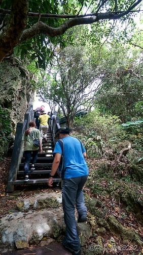 【屏東|社頂】20201018 "東方足跡"-南岬行腳:墾丁 DSC09030