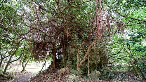 【屏東|社頂】20201018 "東方足跡"-南岬行腳:墾丁 DSC08992