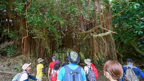 【屏東|社頂】20201018 "東方足跡"-南岬行腳:墾丁 DSC08988