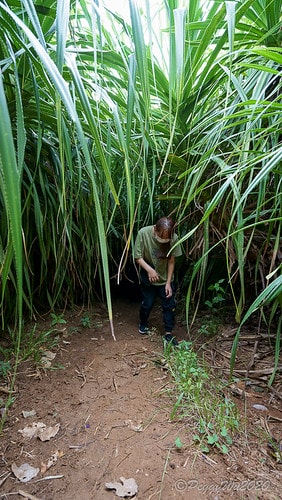 【屏東|社頂】20201018 "東方足跡"-南岬行腳:墾丁 DSC09289