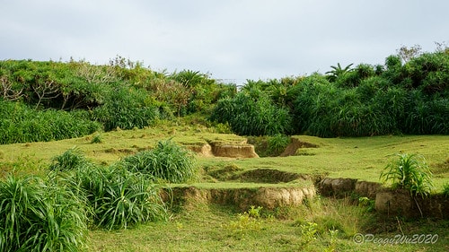 【屏東|社頂】20201018 "東方足跡"-南岬行腳:墾丁 DSC09262