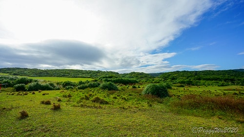 【屏東|社頂】20201018 "東方足跡"-南岬行腳:墾丁 DSC09259