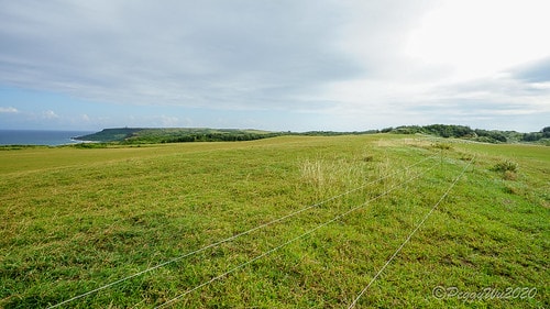 【屏東|社頂】20201018 "東方足跡"-南岬行腳:墾丁 DSC09221