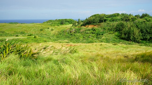 【屏東|社頂】20201018 "東方足跡"-南岬行腳:墾丁 DSC09178