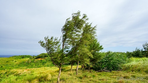 【屏東|社頂】20201018 "東方足跡"-南岬行腳:墾丁 DSC09177