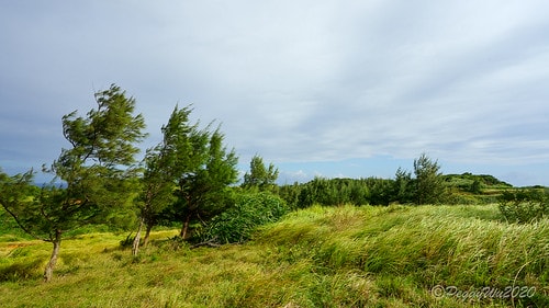 【屏東|社頂】20201018 "東方足跡"-南岬行腳:墾丁 DSC09176