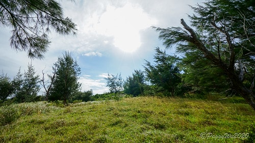 【屏東|社頂】20201018 "東方足跡"-南岬行腳:墾丁 DSC09173