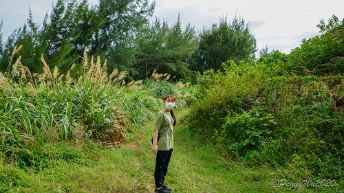 【屏東|社頂】20201018 "東方足跡"-南岬行腳:墾丁 DSC09149