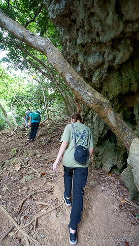 【屏東|社頂】20201018 "東方足跡"-南岬行腳:墾丁 DSC09122