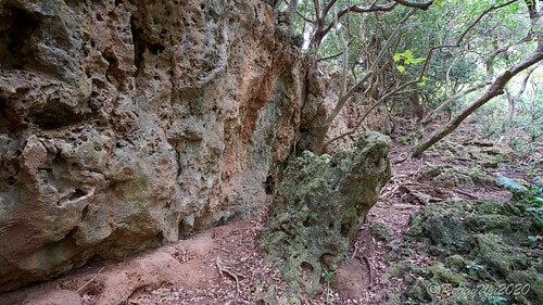 【屏東|社頂】20201018 "東方足跡"-南岬行腳:墾丁 DSC09110