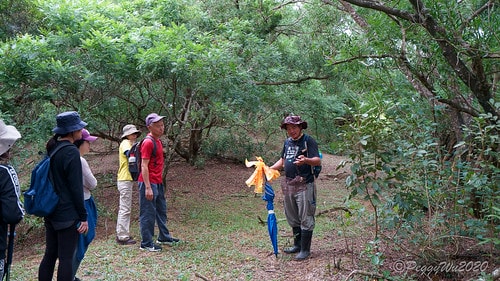 【屏東|社頂】20201018 "東方足跡"-南岬行腳:墾丁 DSC09078