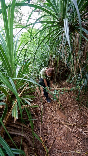 【屏東|社頂】20201018 "東方足跡"-南岬行腳:墾丁 DSC09074