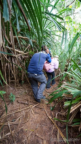 【屏東|社頂】20201018 "東方足跡"-南岬行腳:墾丁 DSC09072
