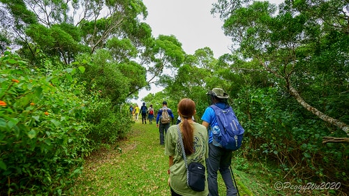 【屏東|社頂】20201018 "東方足跡"-南岬行腳:墾丁 DSC09057