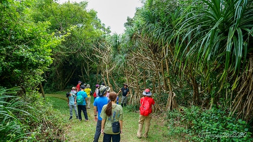 【屏東|社頂】20201018 "東方足跡"-南岬行腳:墾丁 DSC09011